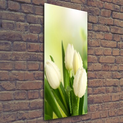 Glasbild vertikales Weiße Tulpen