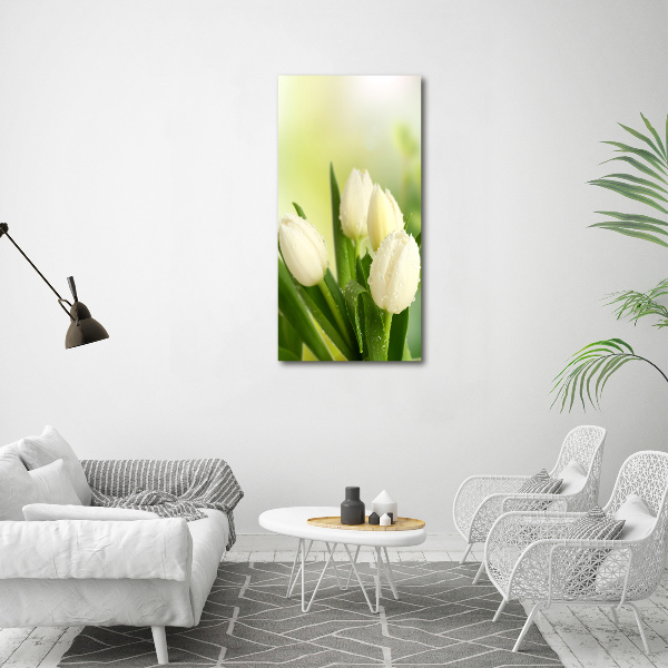 Glasbild vertikales Weiße Tulpen