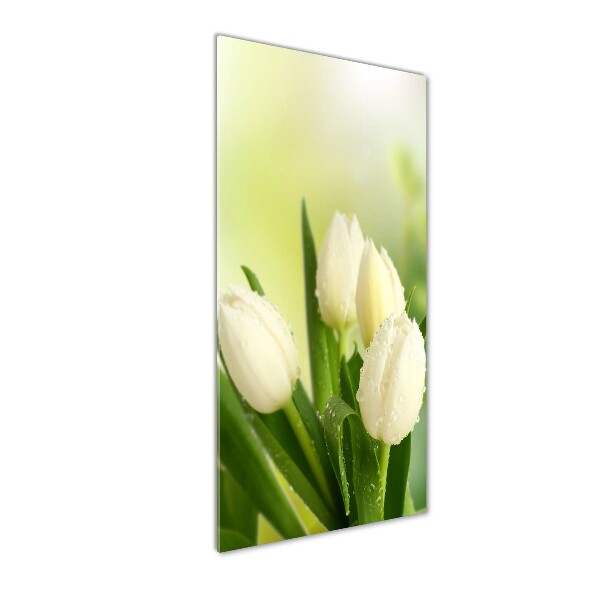 Glasbild vertikales Weiße Tulpen