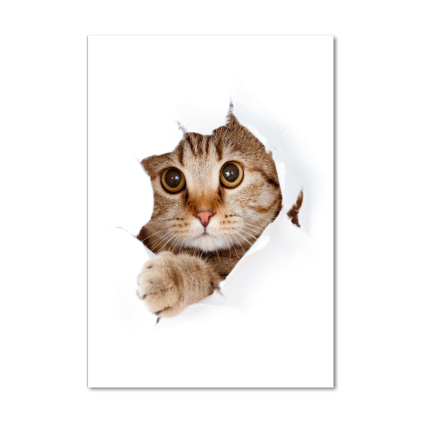 Bild aus glas vertikales Katze