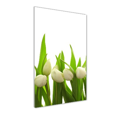 Foto auf glas vertikales Weiße Tulpen