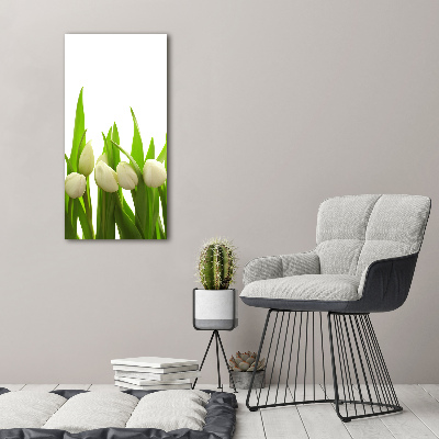 Foto auf glas vertikales Weiße Tulpen