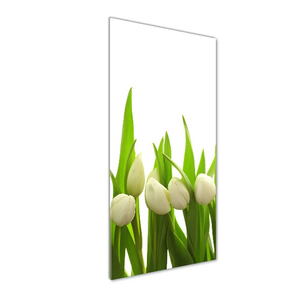 Foto auf glas vertikales Weiße Tulpen
