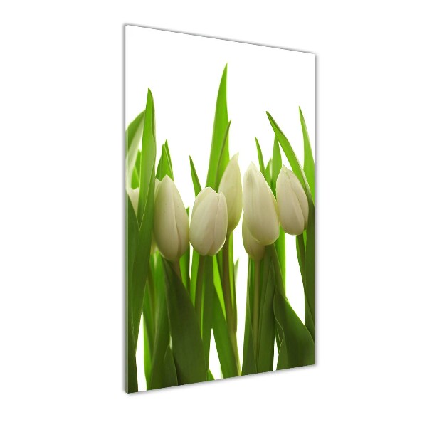 Glasbild vertikales Weiße Tulpen