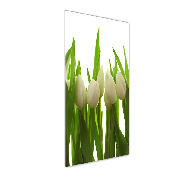 Glasbild vertikales Weiße Tulpen