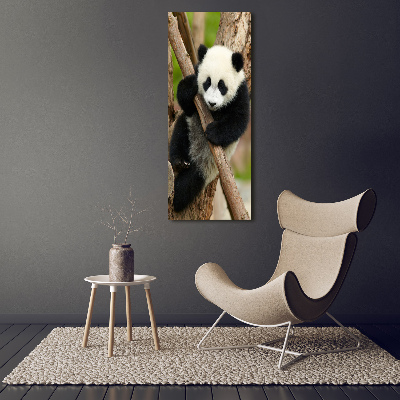 Bild aus glas vertikales Panda auf einem Baum