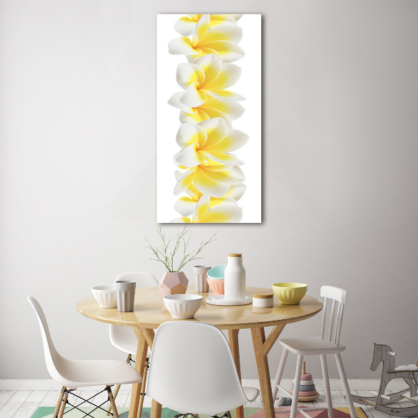 Foto auf glas vertikales Plumeria