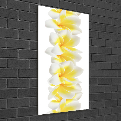 Foto auf glas vertikales Plumeria