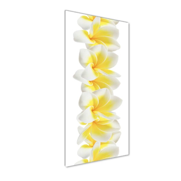 Foto auf glas vertikales Plumeria