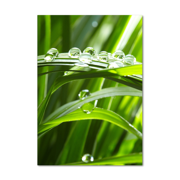 Glasbild vertikales Grashalme
