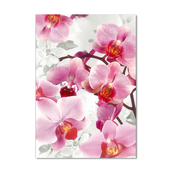Foto auf glas vertikales Rosa Orchidee