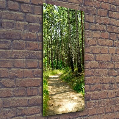 Foto auf glas vertikales Birkenwald
