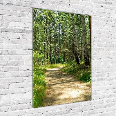 Foto auf glas vertikales Birkenwald