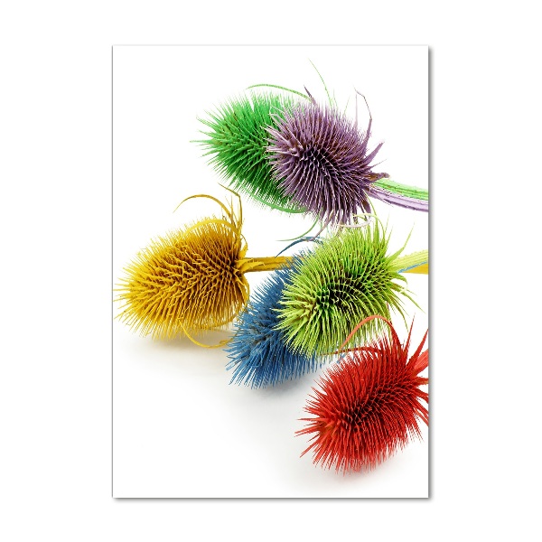 Bild aus glas vertikales Distel