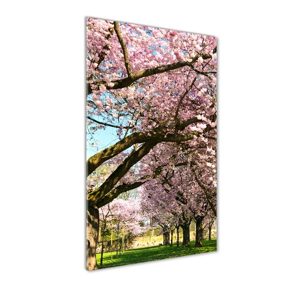 Foto auf glas vertikales Kirschbäume