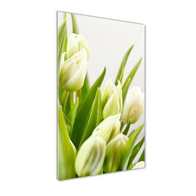 Bild aus glas vertikales Weiße Tulpen
