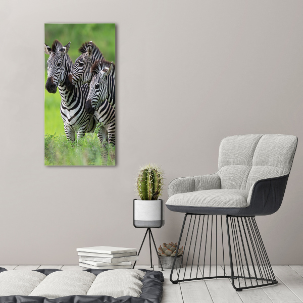 Foto auf glas vertikales Drei Zebras