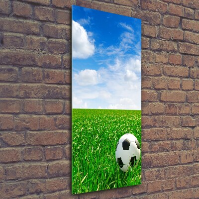 Foto auf glas vertikales Fußball auf der Wiese