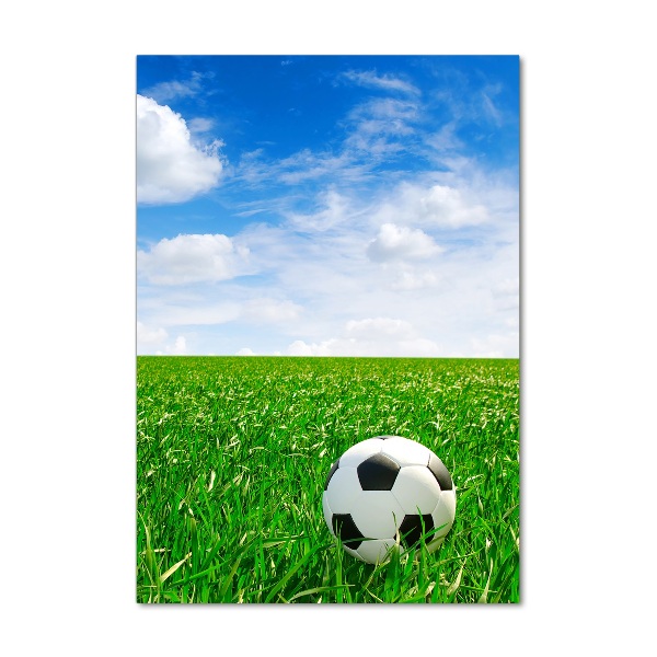 Foto auf glas vertikales Fußball auf der Wiese