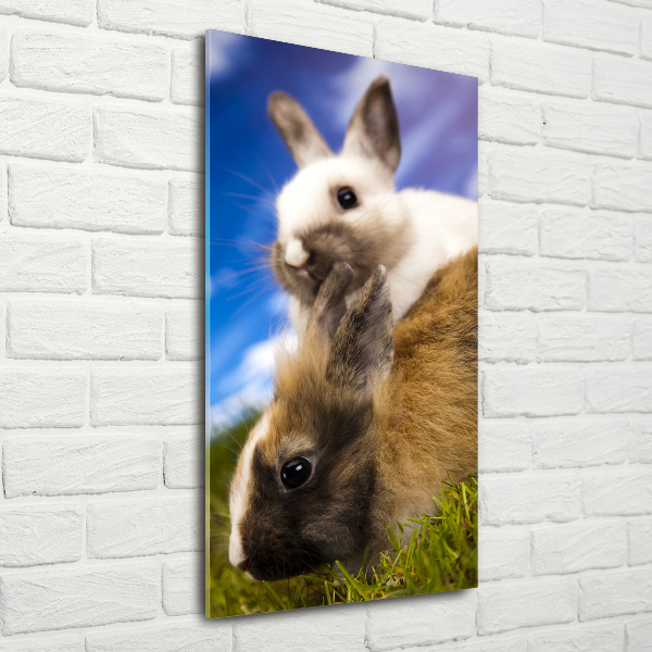Glasbild vertikales Zwei Kaninchen