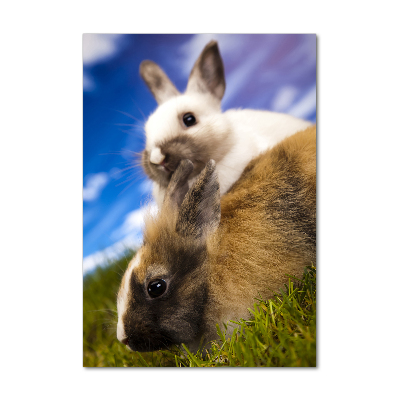 Glasbild vertikales Zwei Kaninchen