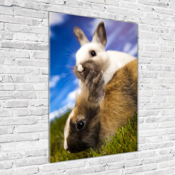 Glasbild vertikales Zwei Kaninchen