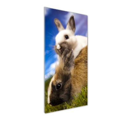 Glasbild vertikales Zwei Kaninchen