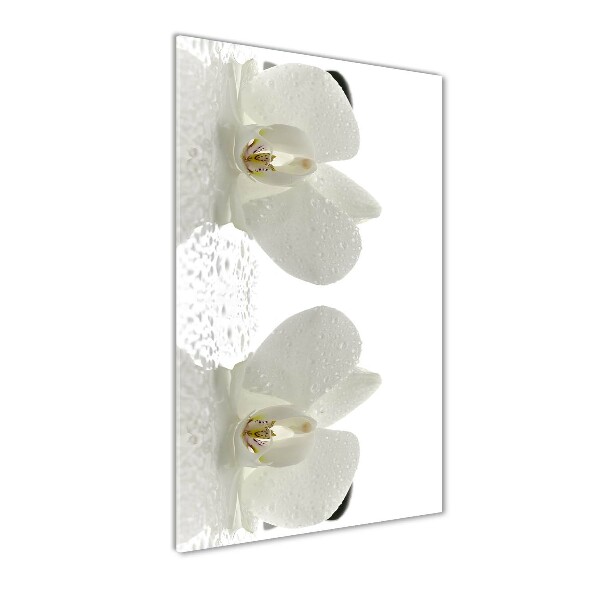 Bild aus glas vertikales Orchidee und Steine