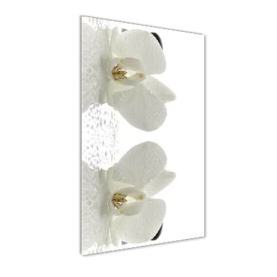 Bild aus glas vertikales Orchidee und Steine