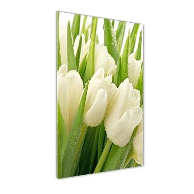 Foto auf glas vertikales Weiße Tulpen