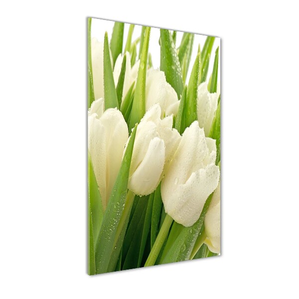Foto auf glas vertikales Weiße Tulpen