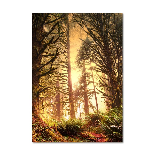 Bild aus glas vertikales Regenwald