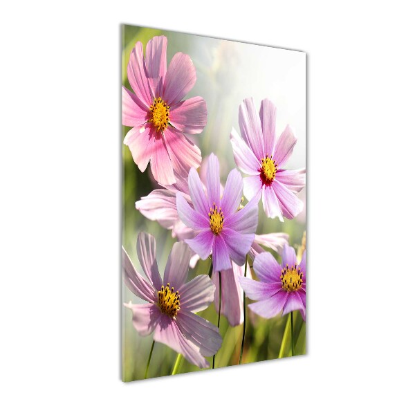 Glasbild vertikales Wildblumen