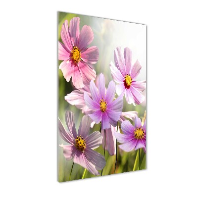 Glasbild vertikales Wildblumen