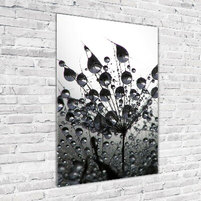 Foto auf glas vertikales Löwenzahnsamen