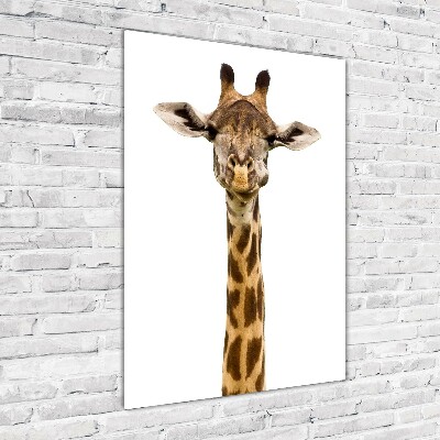Glasbild vertikales Giraffe