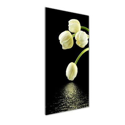Foto auf glas vertikales Weiße Tulpen