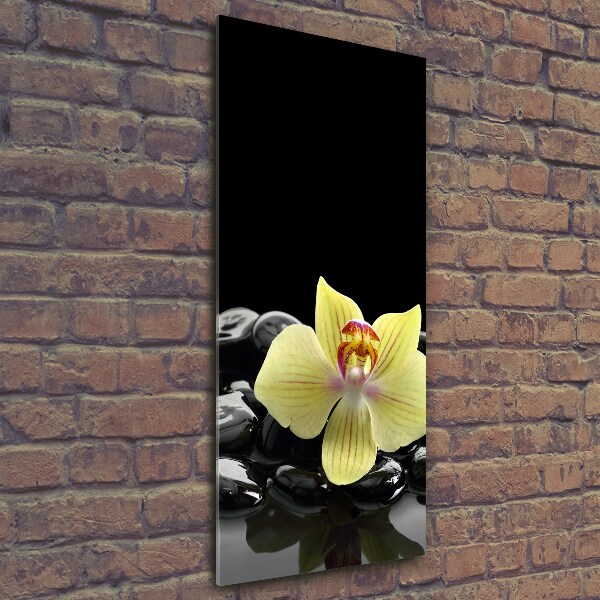 Glasbild vertikales Orchidee und Steine