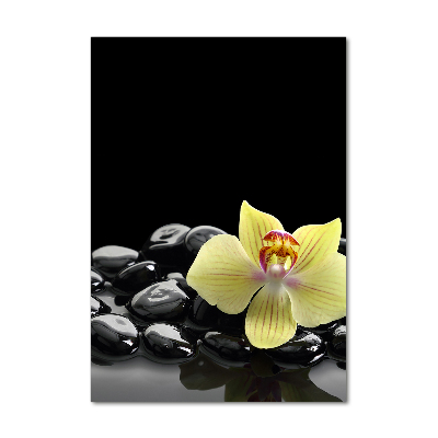 Glasbild vertikales Orchidee und Steine