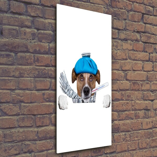 Glasbild vertikales Kranker Hund