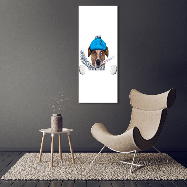 Glasbild vertikales Kranker Hund