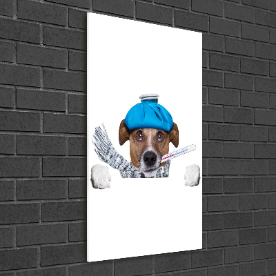 Glasbild vertikales Kranker Hund