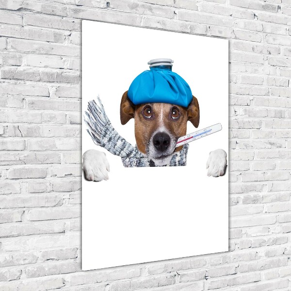 Glasbild vertikales Kranker Hund