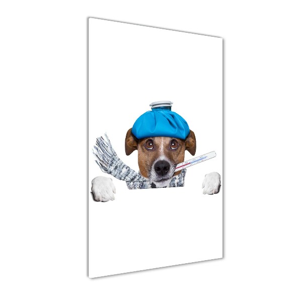 Glasbild vertikales Kranker Hund