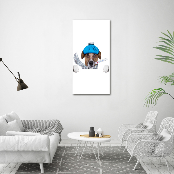 Glasbild vertikales Kranker Hund