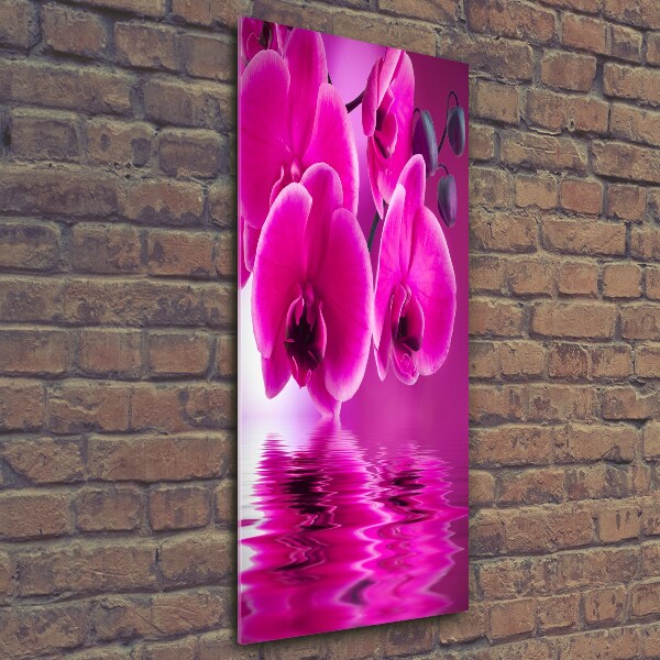 Foto auf glas vertikales Rosa Orchidee
