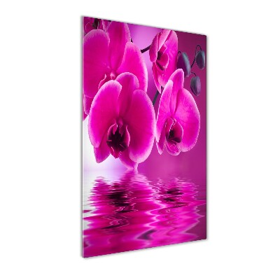 Foto auf glas vertikales Rosa Orchidee