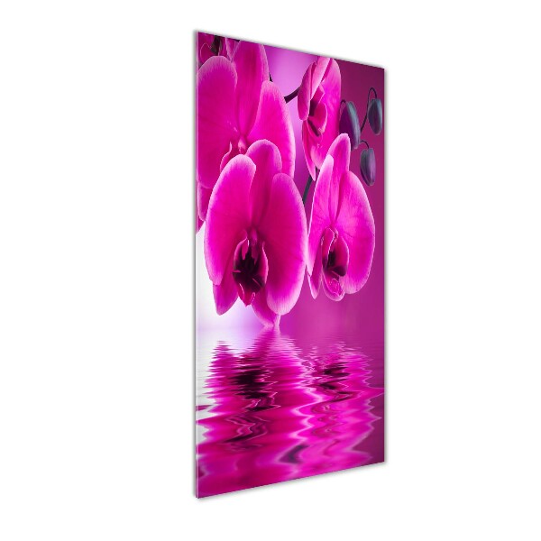 Foto auf glas vertikales Rosa Orchidee