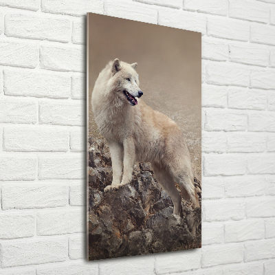 Glasbild vertikales Wolf auf einem Felsen