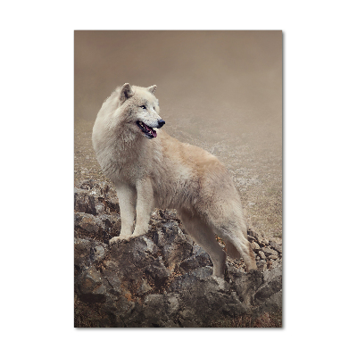 Glasbild vertikales Wolf auf einem Felsen